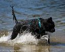 20130824-cwd-0252