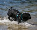 20130824-cwd-0254