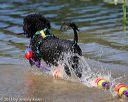20130824-cwd-0263