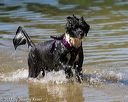 20130824-cwd-0310