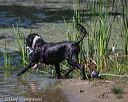 20130824-cwd-0318