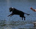 20130824-cwd-0323