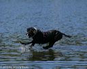 20130824-cwd-0326
