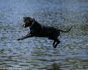 20130824-cwd-0335