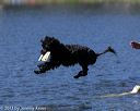 20130824-cwd-0354