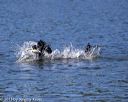 20130824-cwd-0357