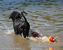 20130824-cwd-0372