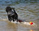 20130824-cwd-0373