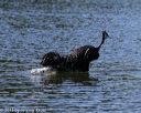 20130824-cwd-0401