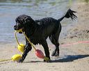 20130824-cwd-0433