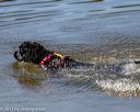 20130824-cwd-0474