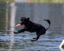 20130824-cwd-0482