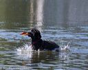 20130824-cwd-0484