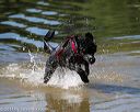20130824-cwd-0493