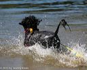 20130824-cwd-0502