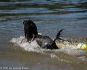 20130824-cwd-0504