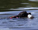 20130824-cwd-0519