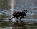 20130824-cwd-0526