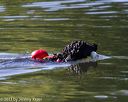 20130824-cwd-0532