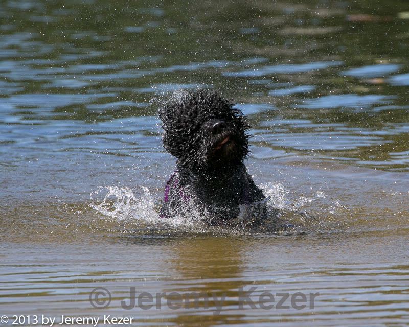 20130824-cwd-0040.jpg