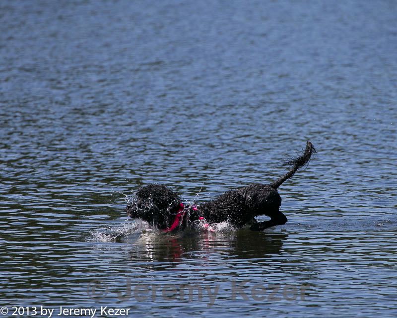20130824-cwd-0168.jpg