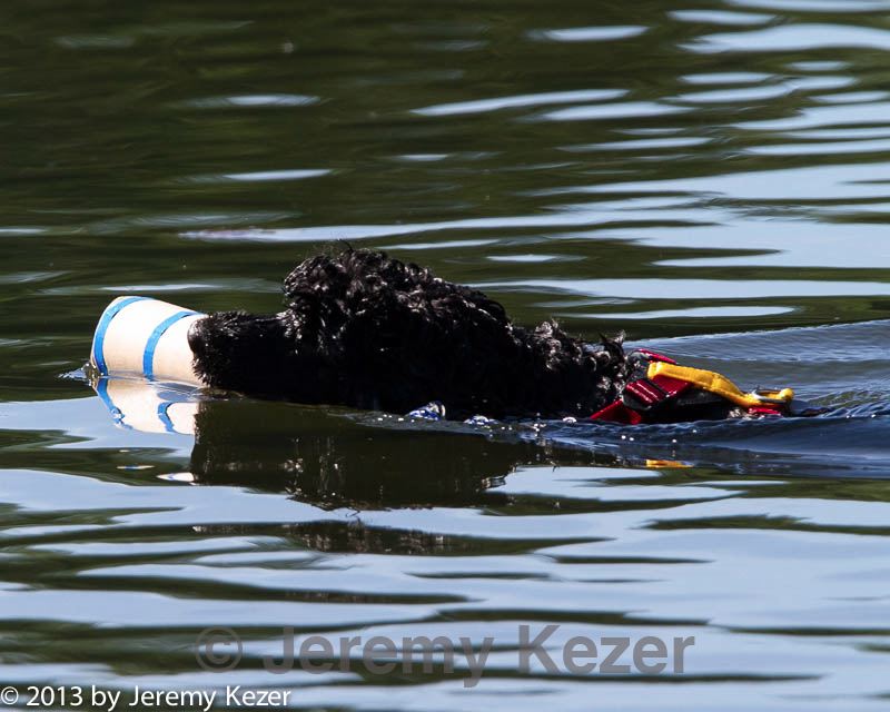 20130824-cwd-0516.jpg