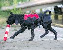 20130824-jwd-0169