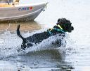 20130824-jwd-0206