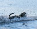 20130824-jwd-0210