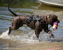 20130824-v-0004