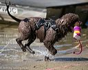 20130824-v-0011
