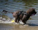 20130824-v-0024
