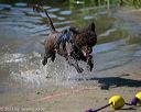 20130824-v-0044
