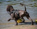 20130824-v-0048