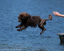 20130824-wwd-0252