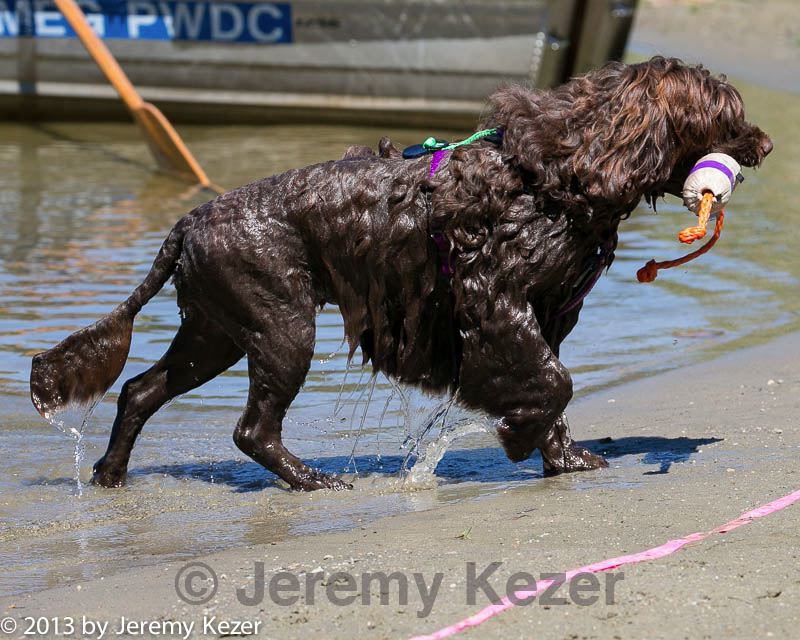 20130824-wwd-0215.jpg
