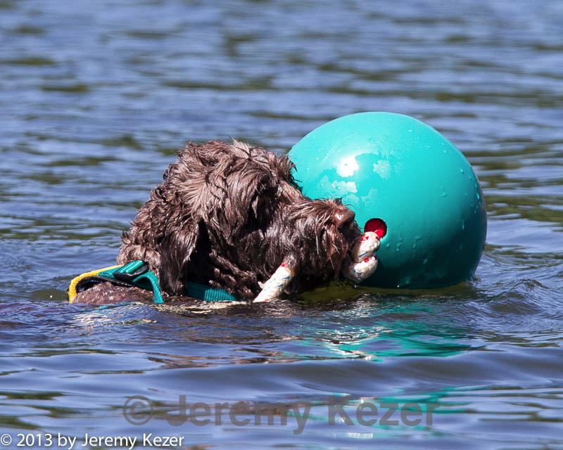 20130824-wwd-0358.jpg