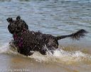 20130825-awd-0090