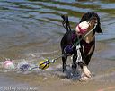 20130825-awd-0186