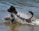 20130825-awd-0227
