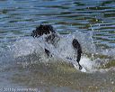 20130825-awd-0248