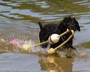 20130825-awd-0288