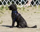 20130825-awd-0299