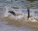 20130825-awd-0305
