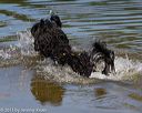 20130825-awd-0319
