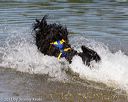 20130825-awd-0332