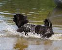 20130825-awd-0413