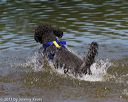 20130825-awd-0449