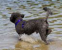 20130825-awd-0477
