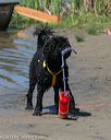 20130825-awd-0523